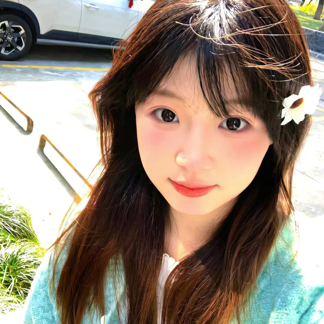 羔羊大律师