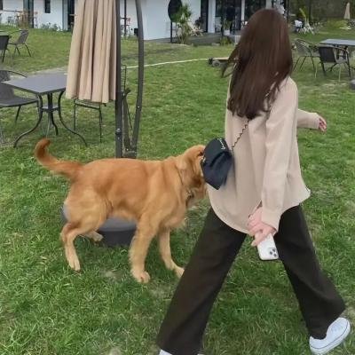 惊声鬼叫